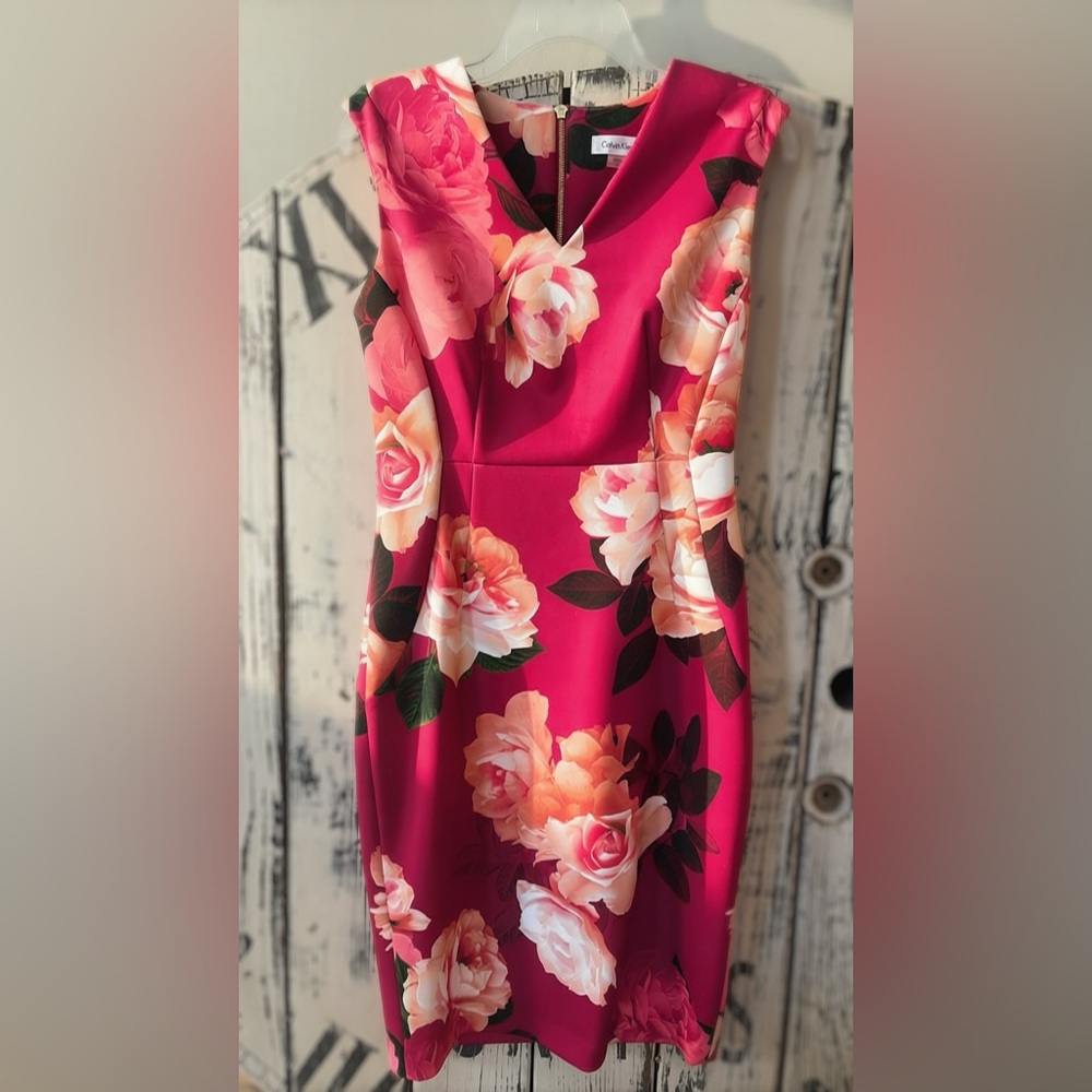 Calvin Klein Floral Dress in Pink and White